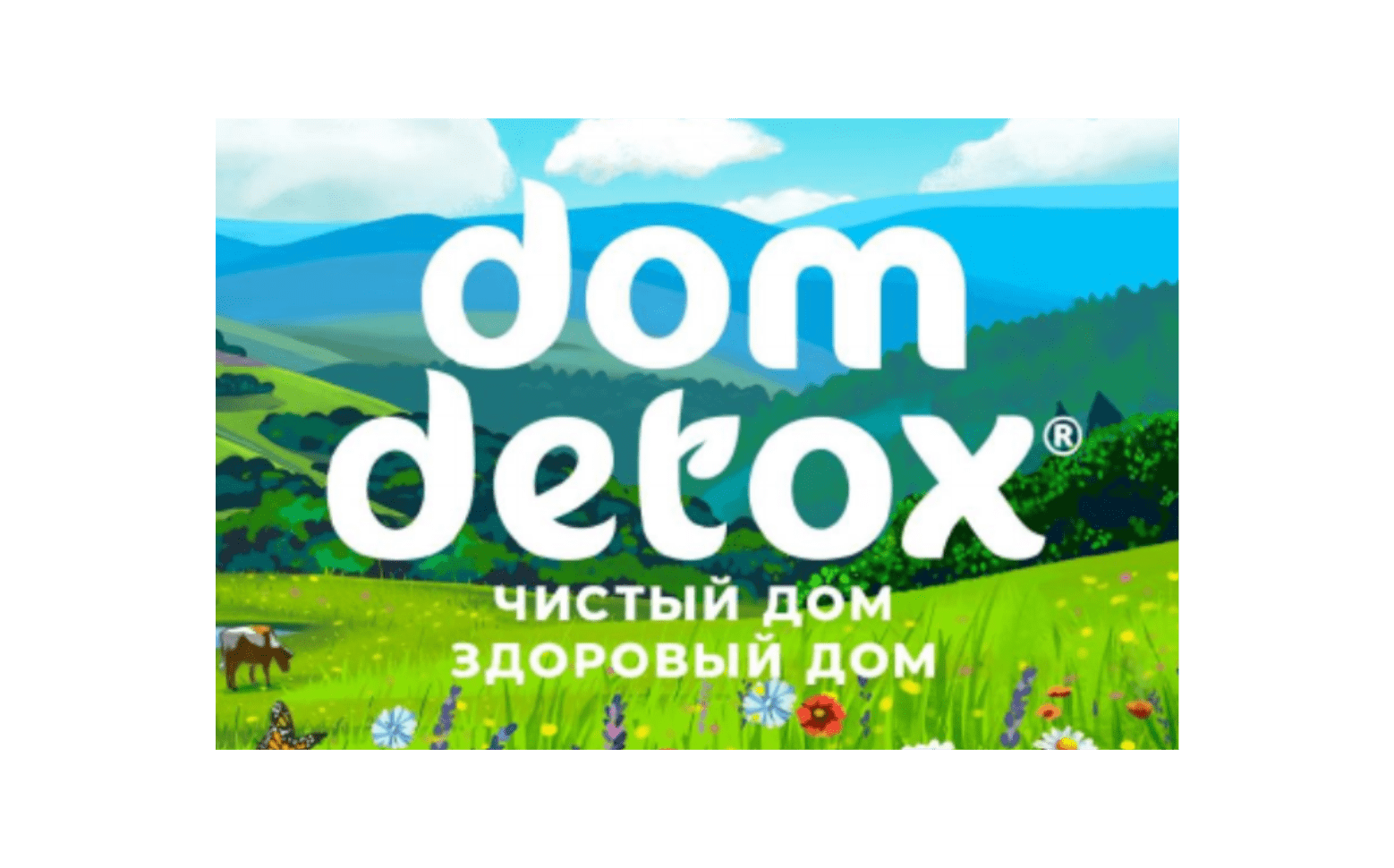 Логотип DomDetox