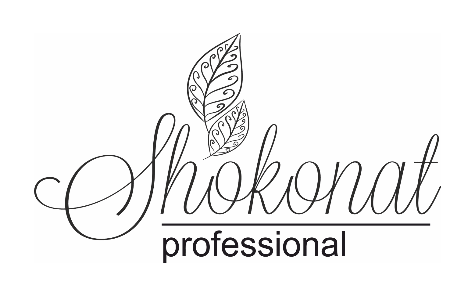 Логотип Shokonat Professional
